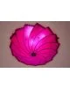 tacklampa rosa